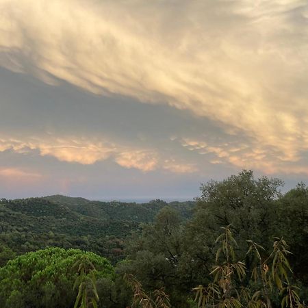 Villa Casa Con Vista Y Jardin, A 20' De La Playa Sant Cebrià de Vallalta Exterior foto
